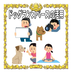 神奈川県の屋内ドッグランなら初めての方や貸切もＯＫのSmiley-smile
