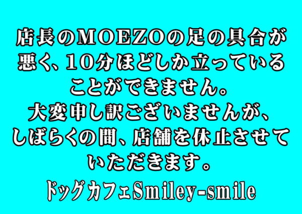 神奈川県で屋内ドッグランなら 室内で貸切okのsmiley Smile 神奈川県で屋内ドッグランなら 室内で貸切okのsmiley Smile
